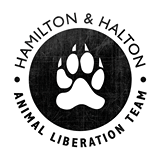 halt logo
