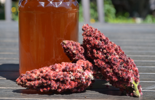 shorthills-sumac-tea